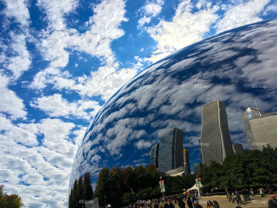 The bean