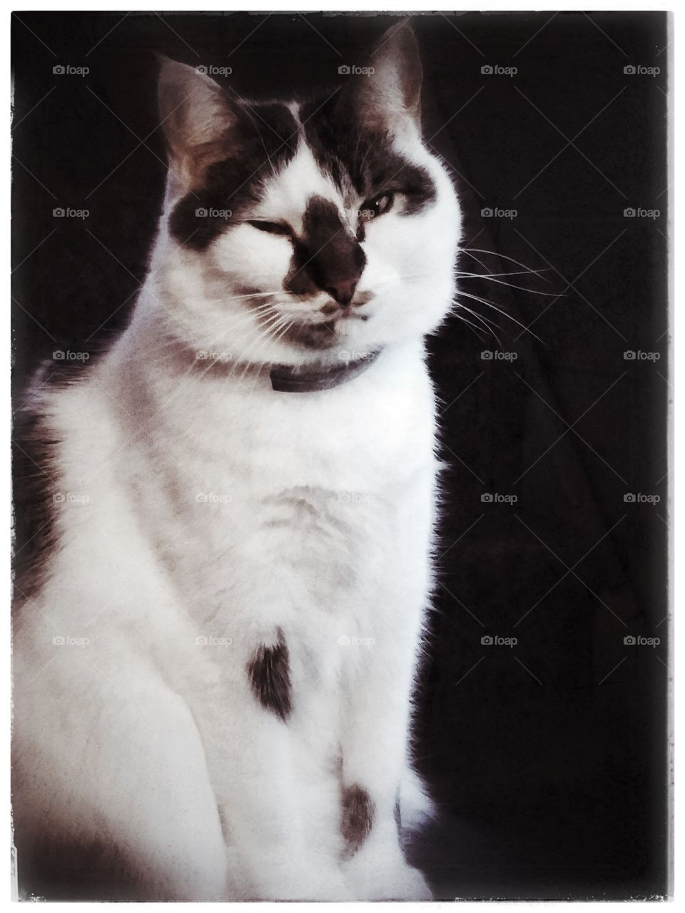 black and white wink