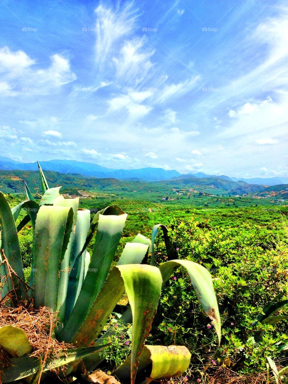 Beautiful Crete with scenic view