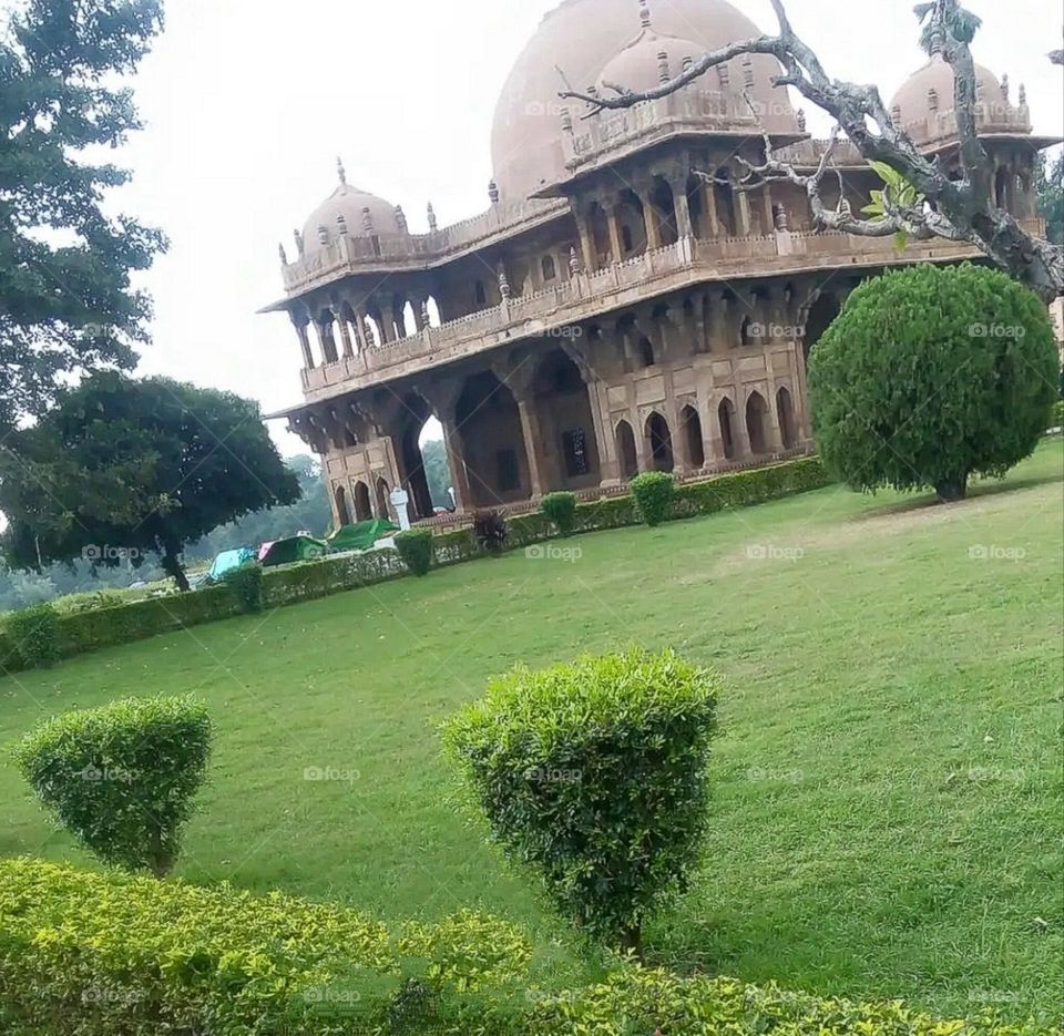 A most beautiful and attractive view in the garden.