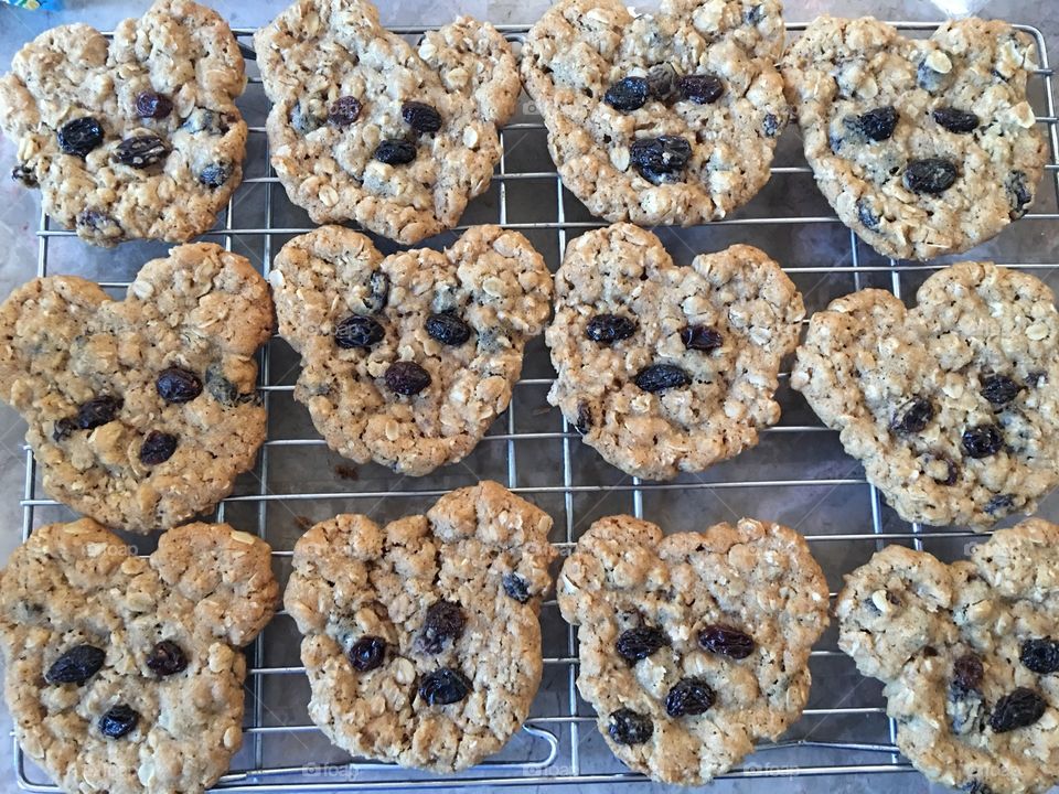 Bear cookies