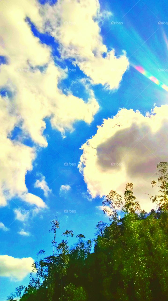 ENSOLARADO RAIO SOLAR