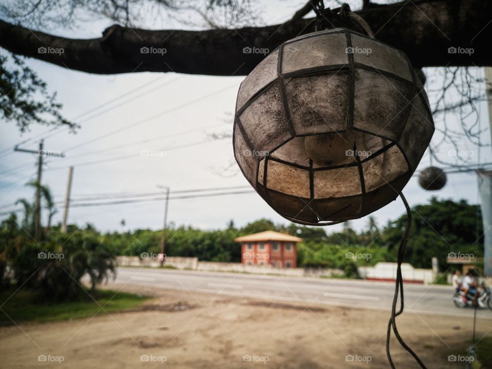 An old Lantern on a tree