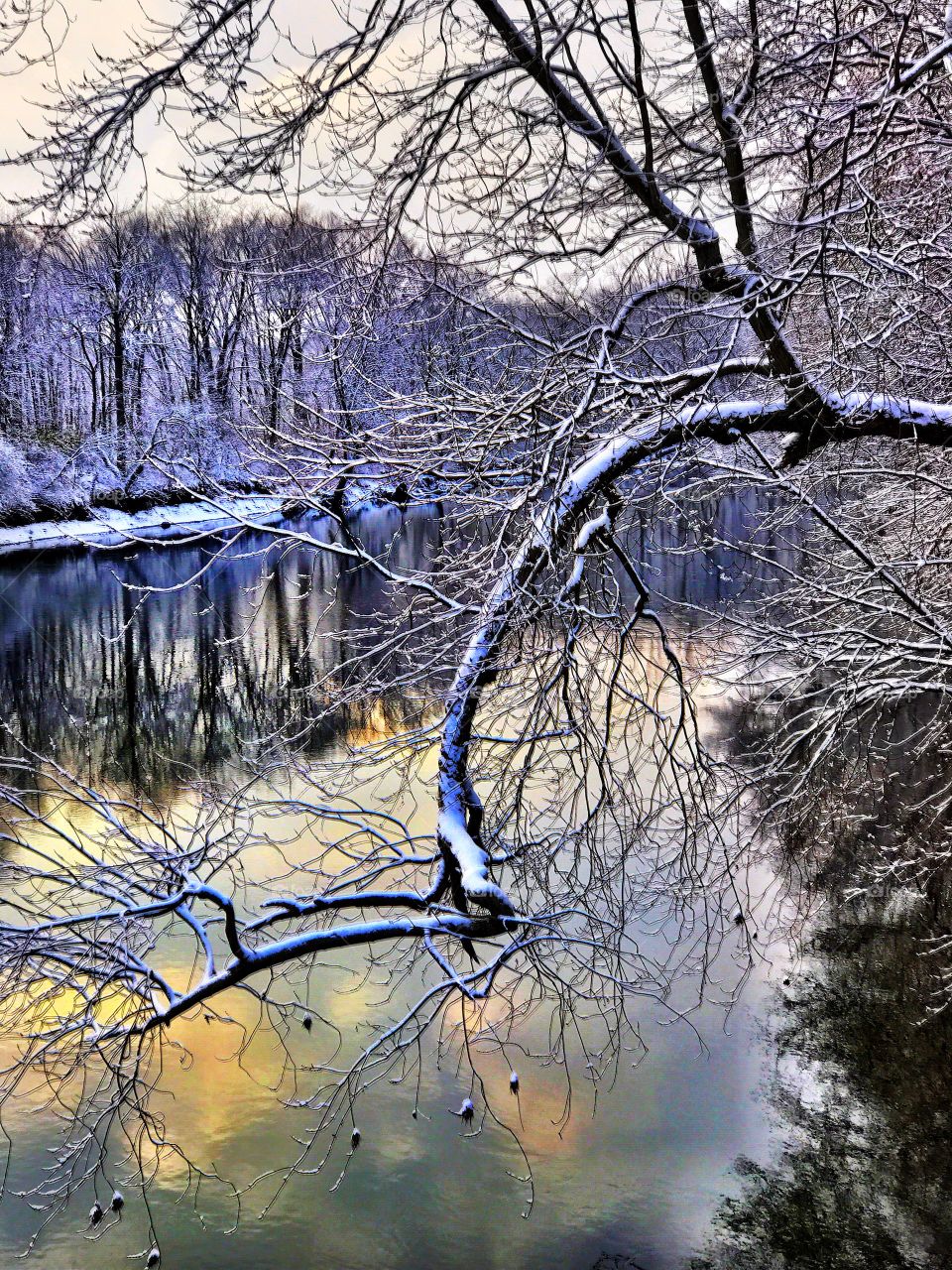 Winter on the river 