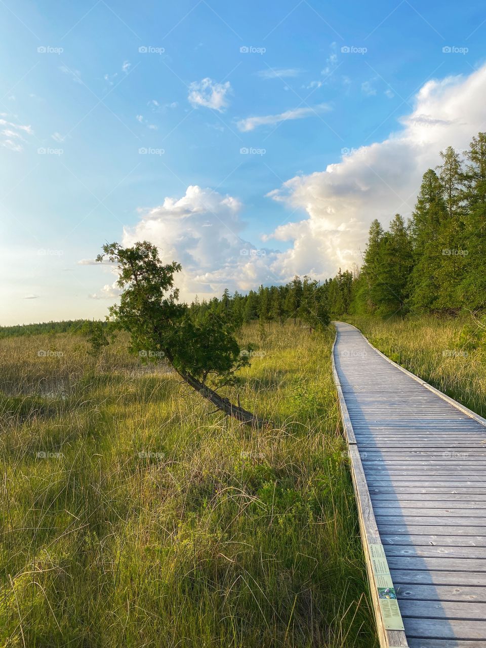 Nature walk