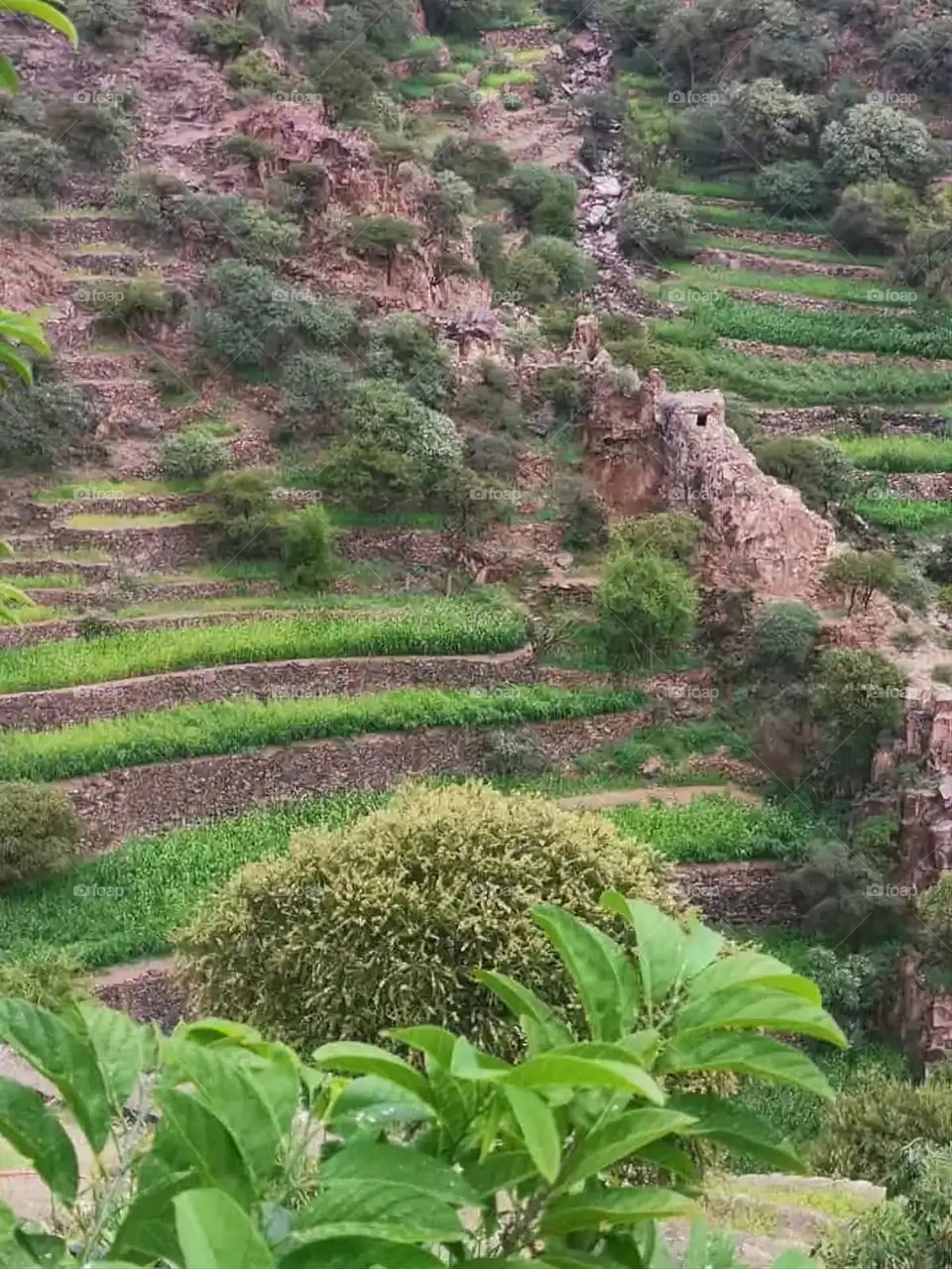 Glory be to God, the magnificent and picturesque view and the natural green trees are a view that is nothing more wonderful than it