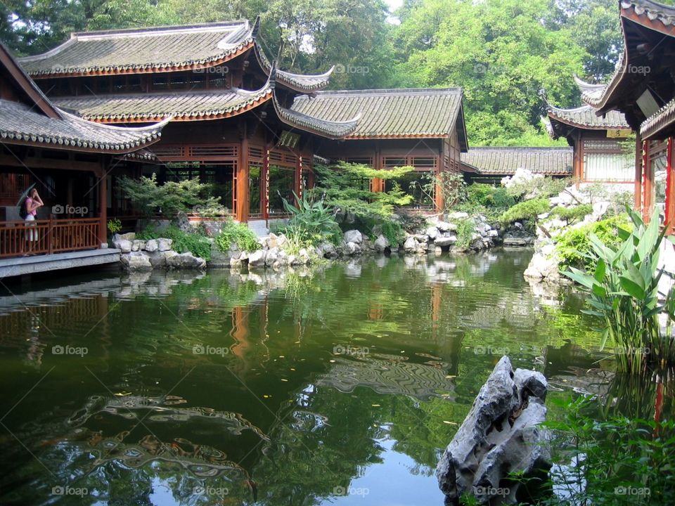 Chinese garden and koi pond