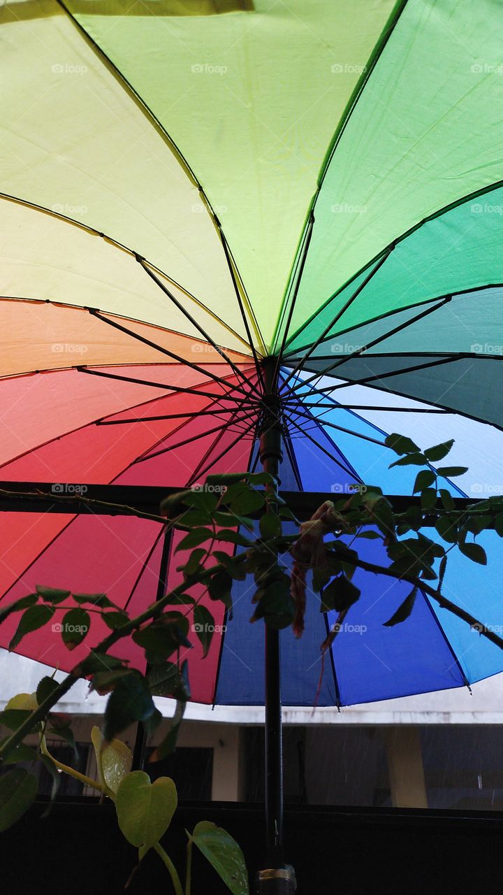 Time to play with umbrella