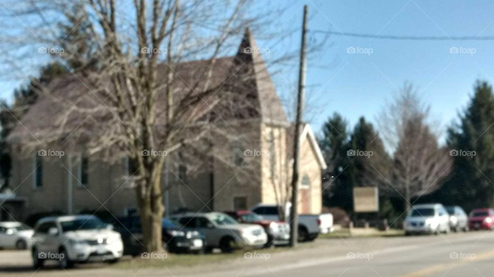 Tree, Road, House, Building, Street