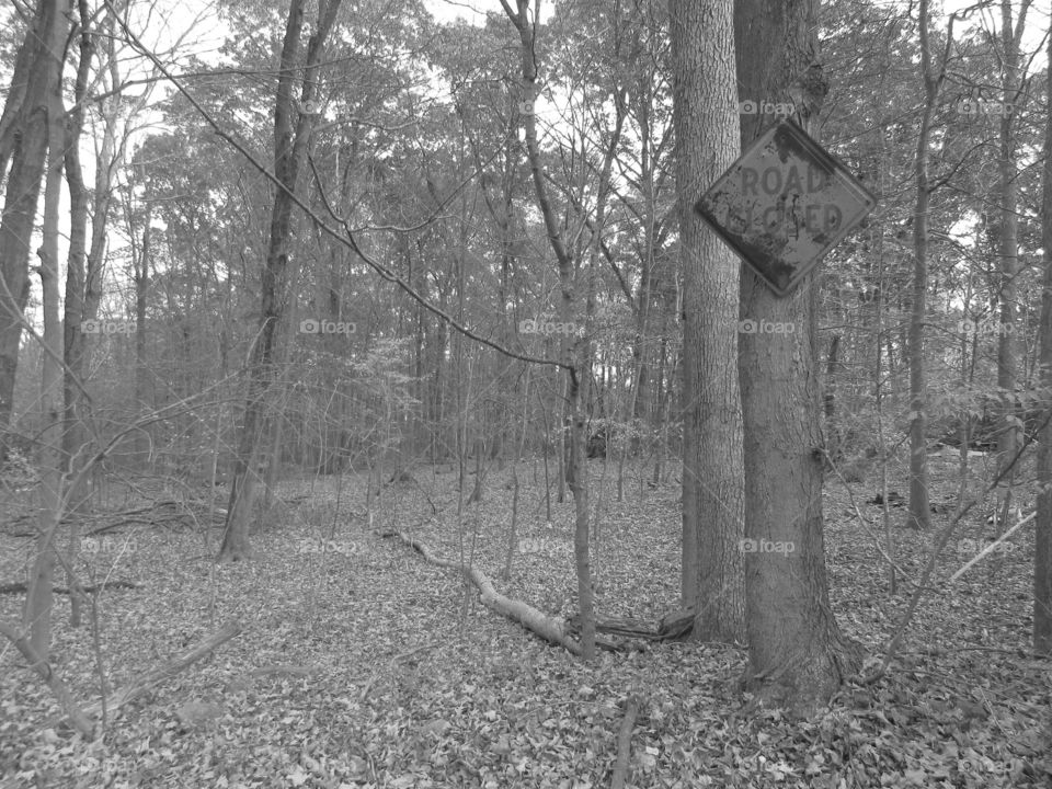 Black and white rusted road closed sign in the woods