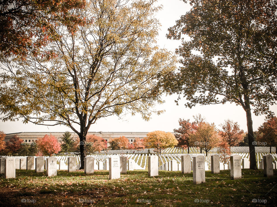 Cemetery