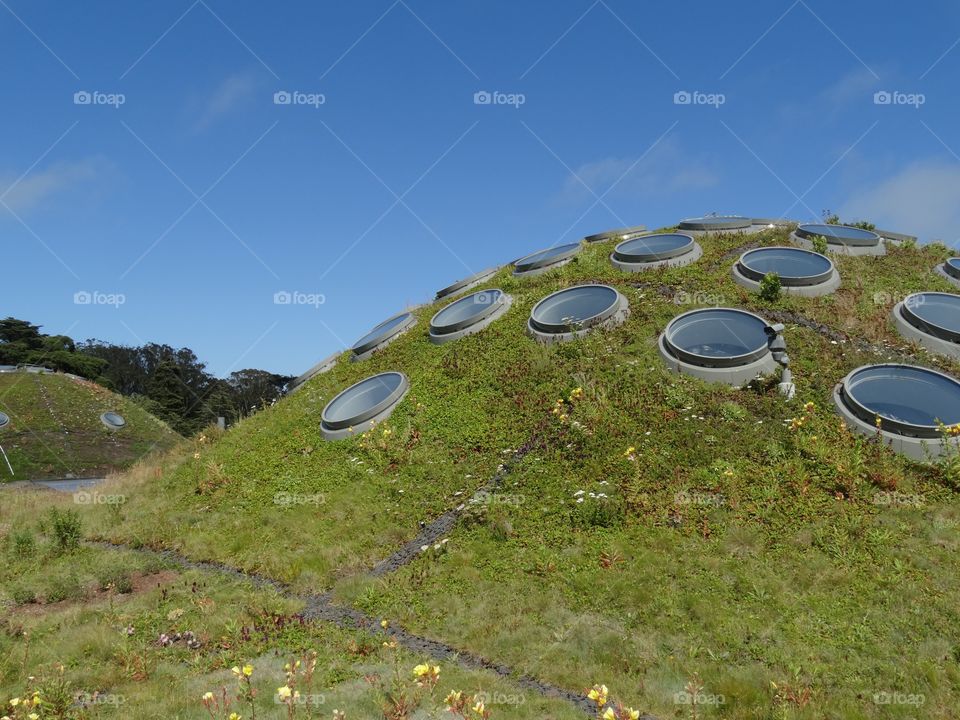 Soil And Grass Covering A Domed Roof