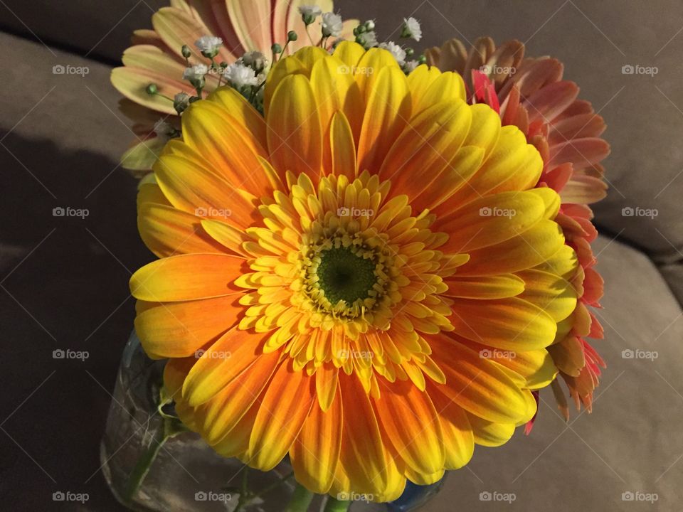 Sunny arrangement 