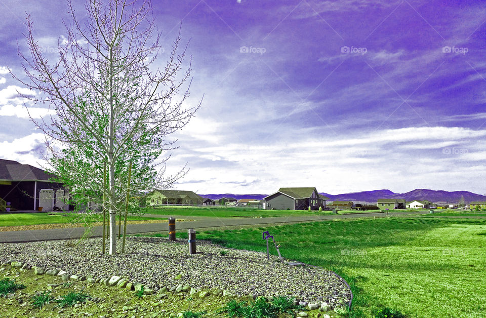 fresh spring landscape with a dreamers sky