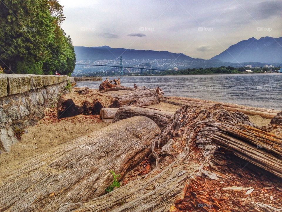 Driftwood at stanley park