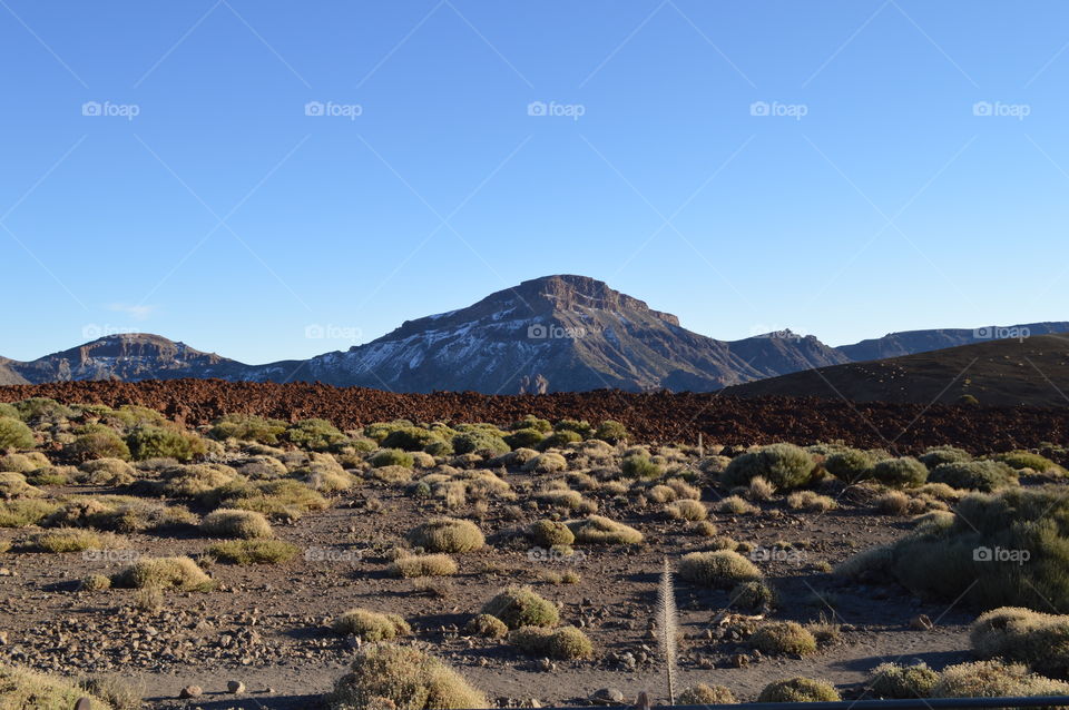 Mountain in Tenerife