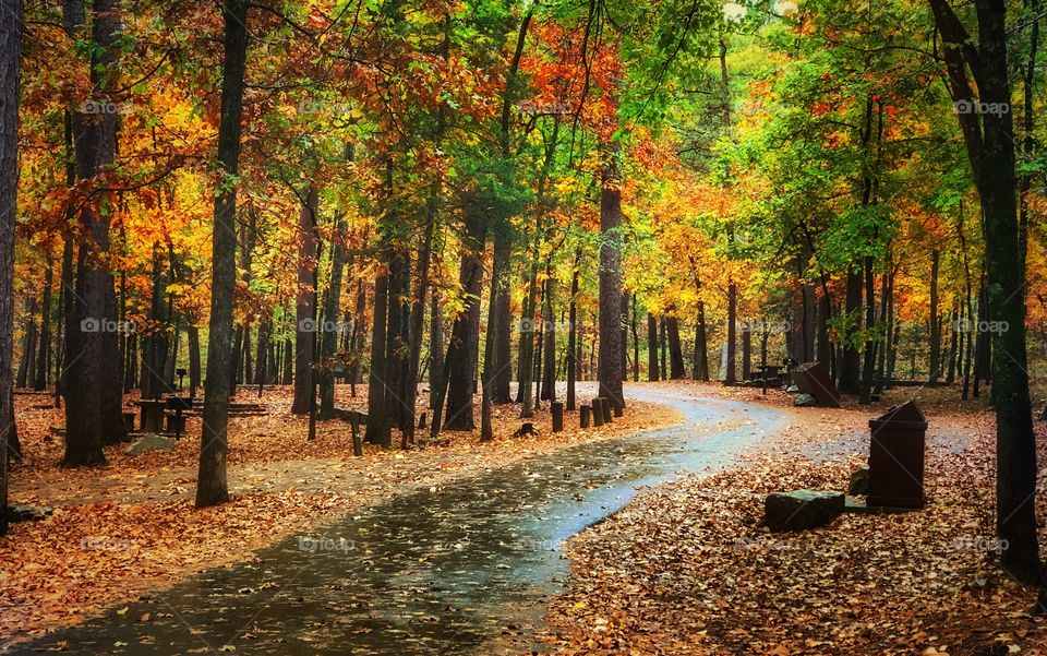 Follow the Fall Road