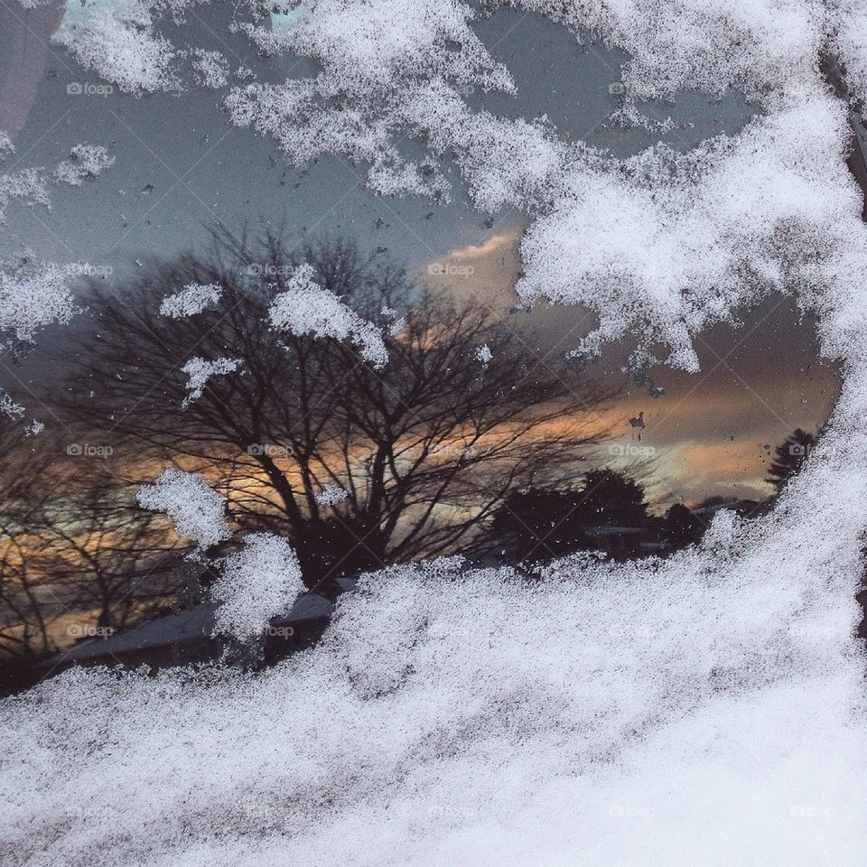 Reflection of sunrise and tree in car window with snow 