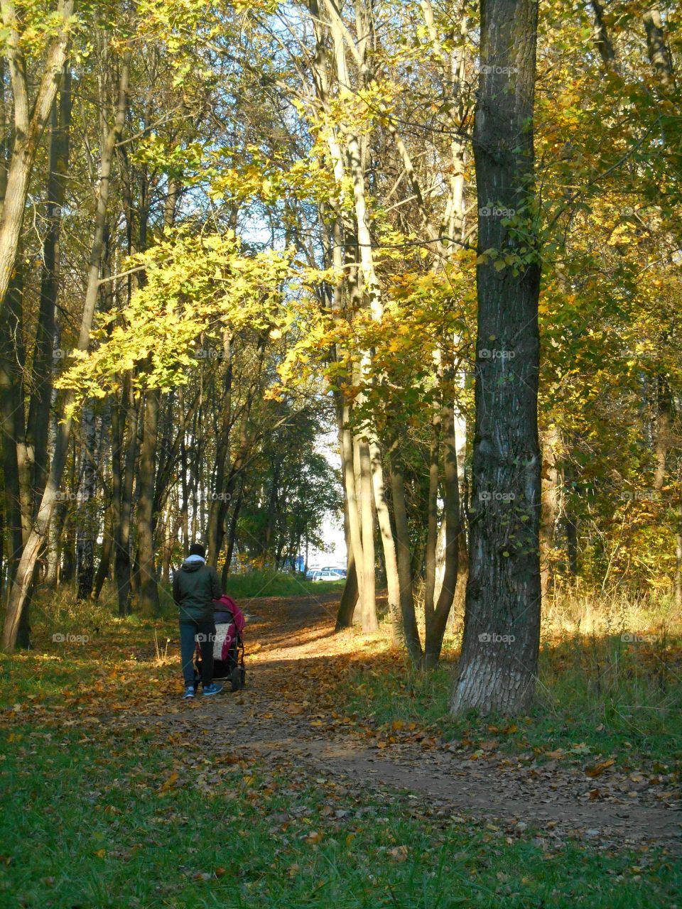 autumn walk