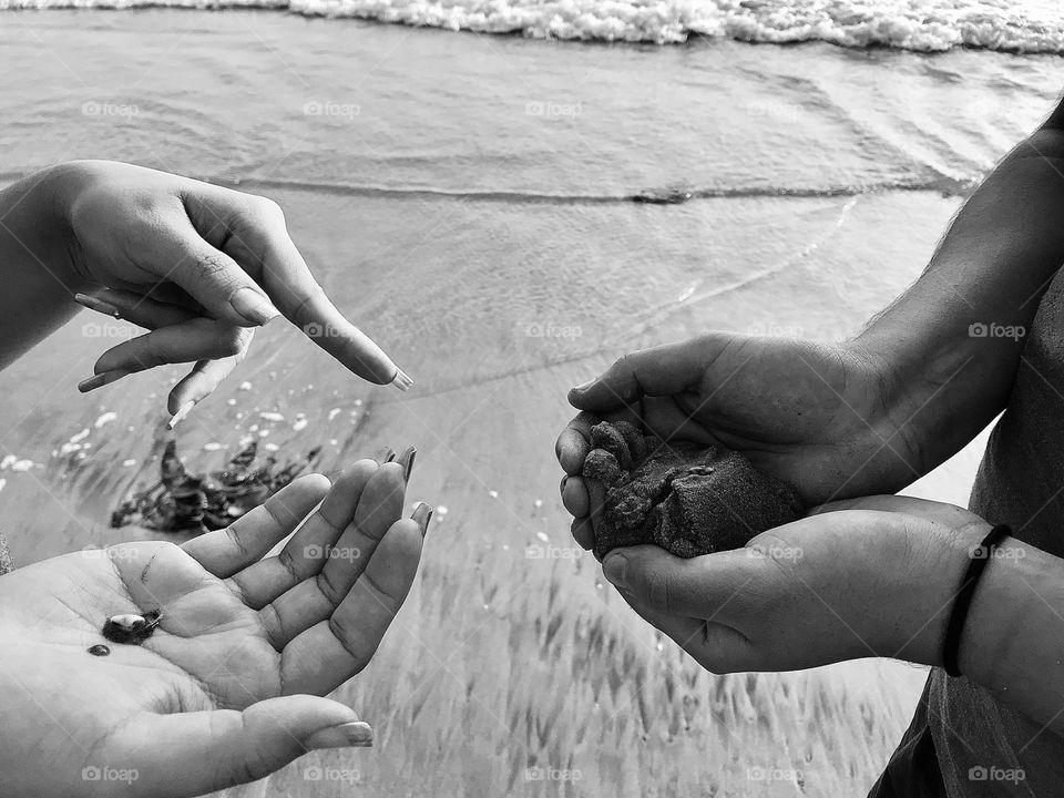 Beach Vacation Discovery