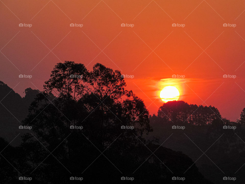 Sunset In The Jungle