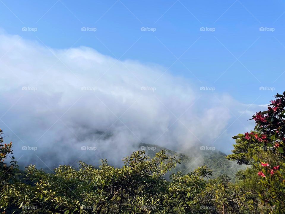 surrounded by clouds