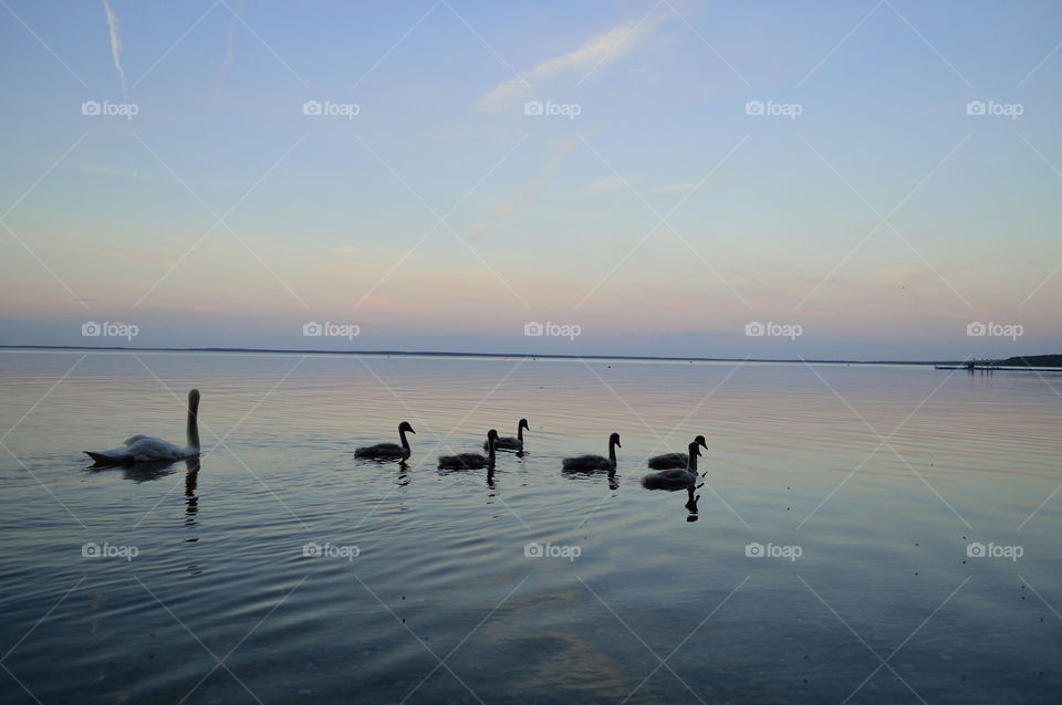 beautiful summer sunset on the lake