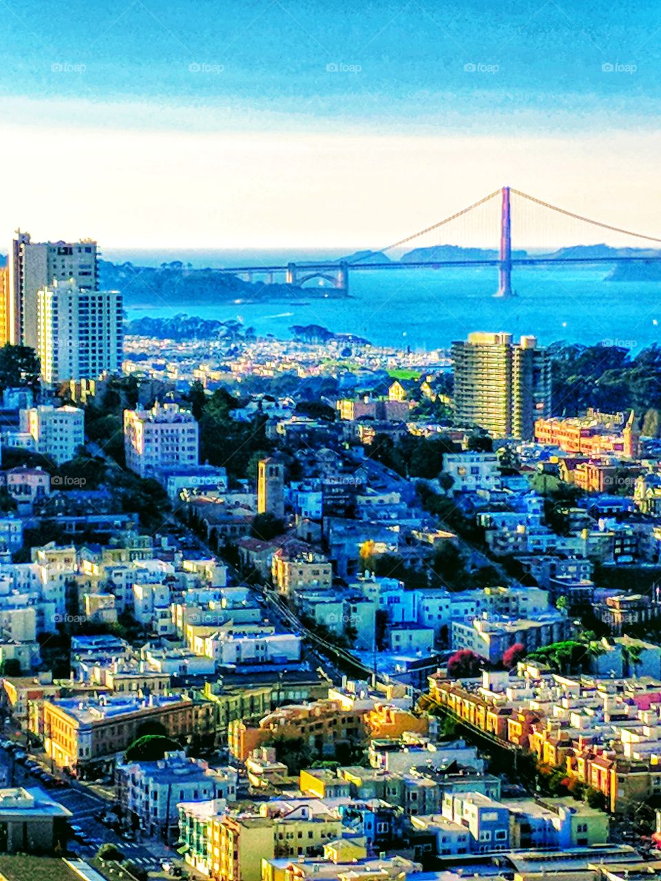 SAN FRANCESCO|california