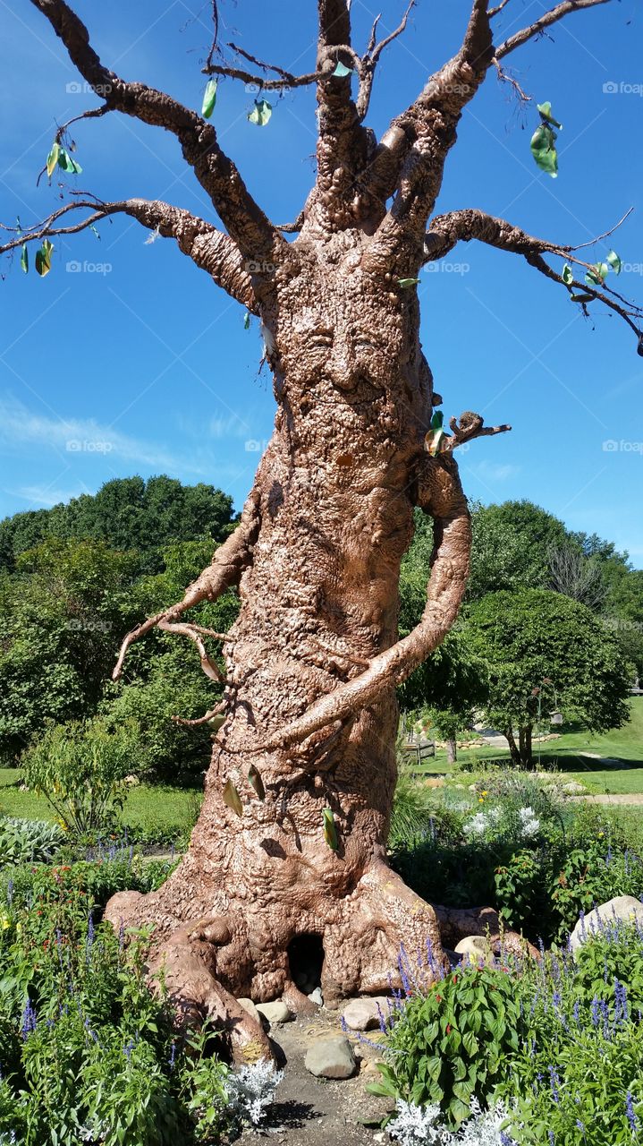 Ent