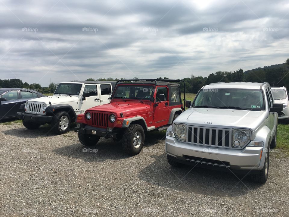 3 Jeeps