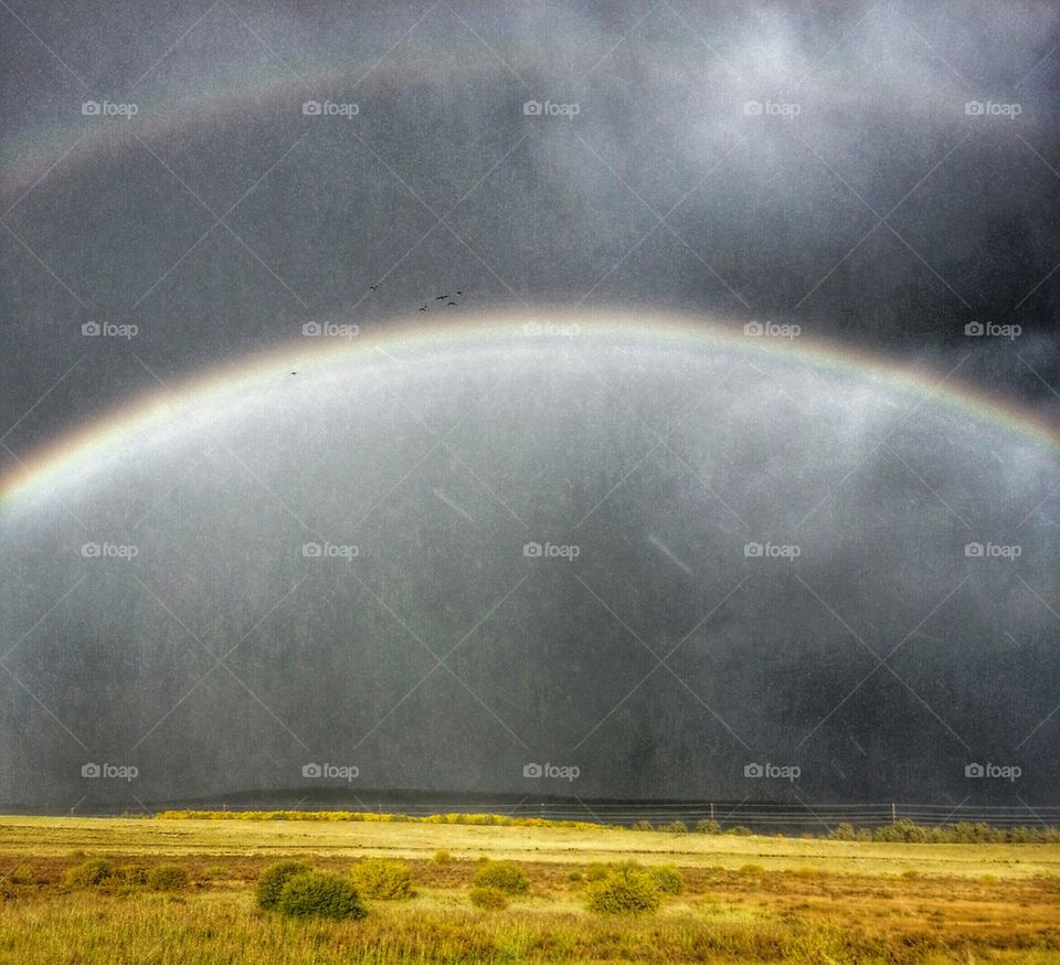 Raibow in the Dark