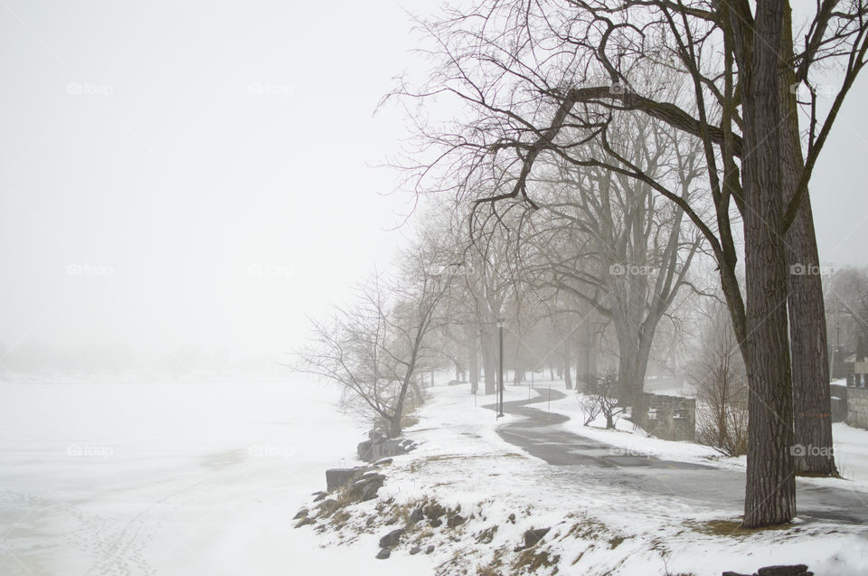 Curvy bicycle path along a frozen lake with  advection fog in winter time at Lachine Canal in Montreal, Canada beautiful minimalistic nature and travel scenery background 