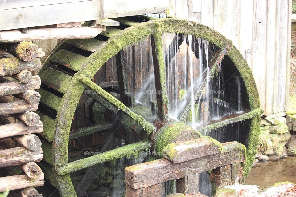 Mossy water wheel