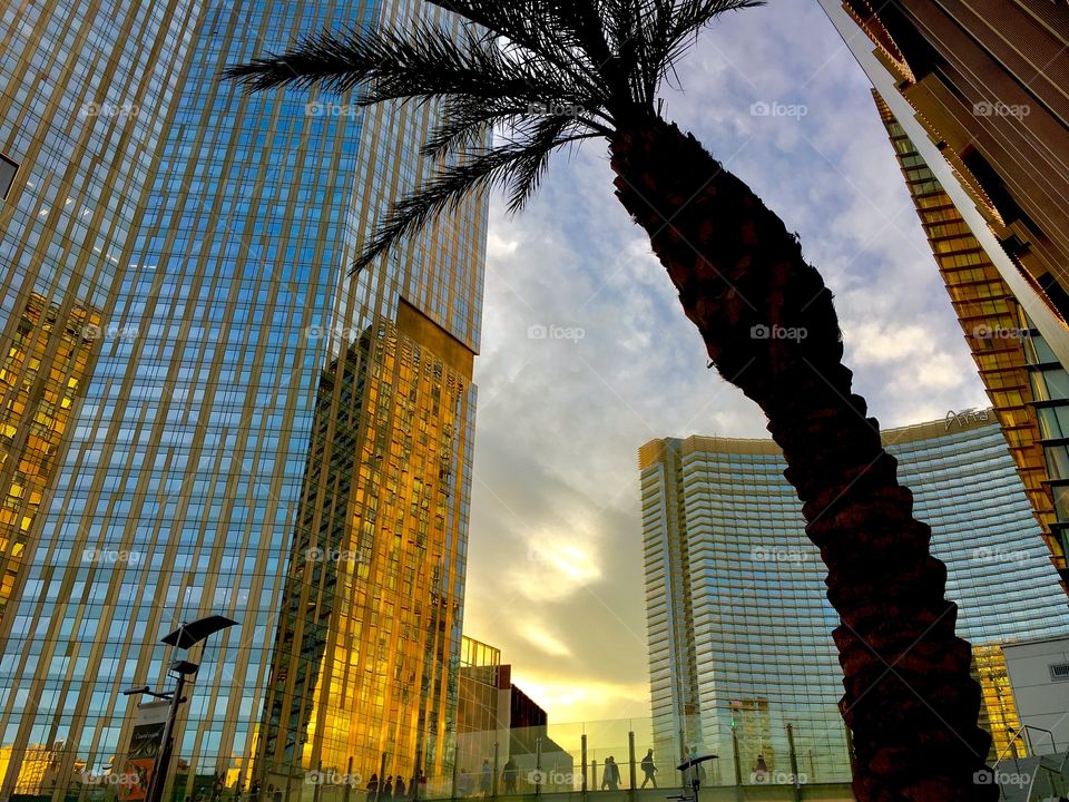 Reflections in Vegas 