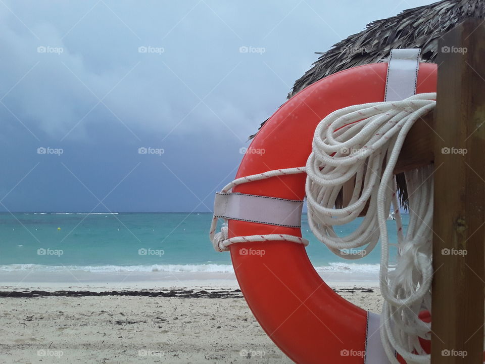 azure ocean, beach, palm leaf mushroom lifebuoy