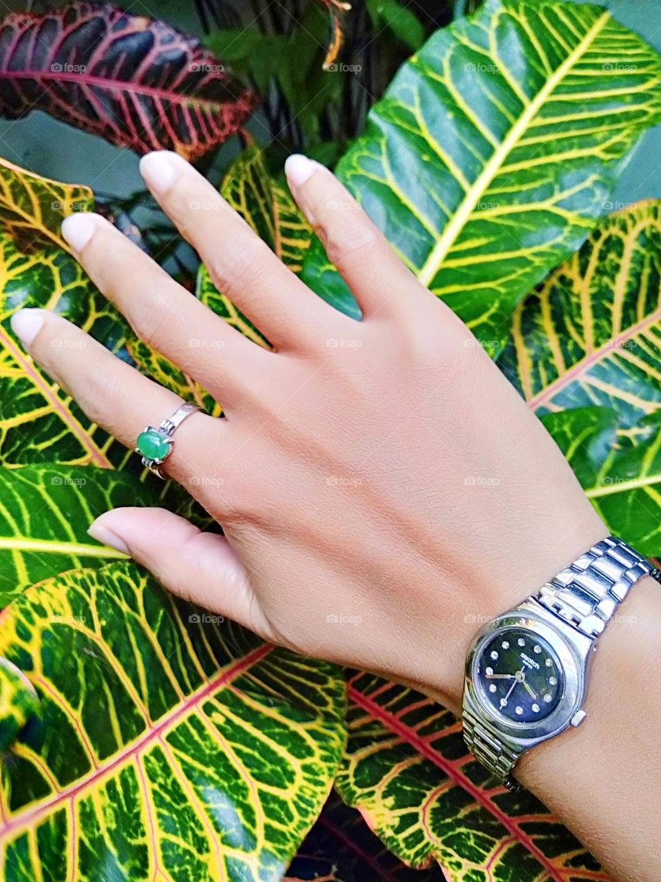 Simply wearing watch with Jade stone ring.