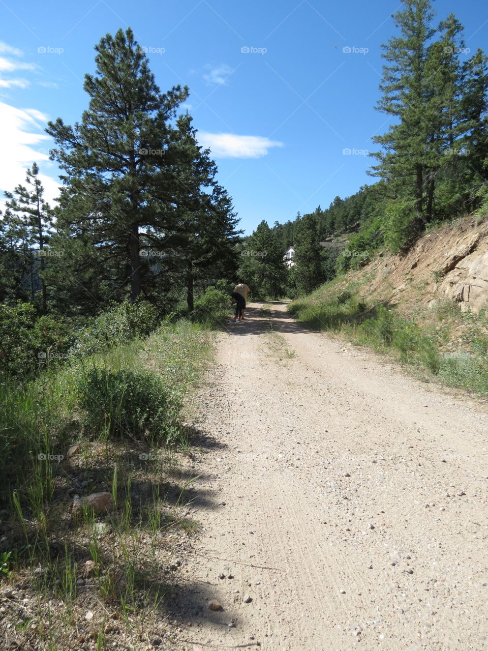 Hiking trail in Colorado.