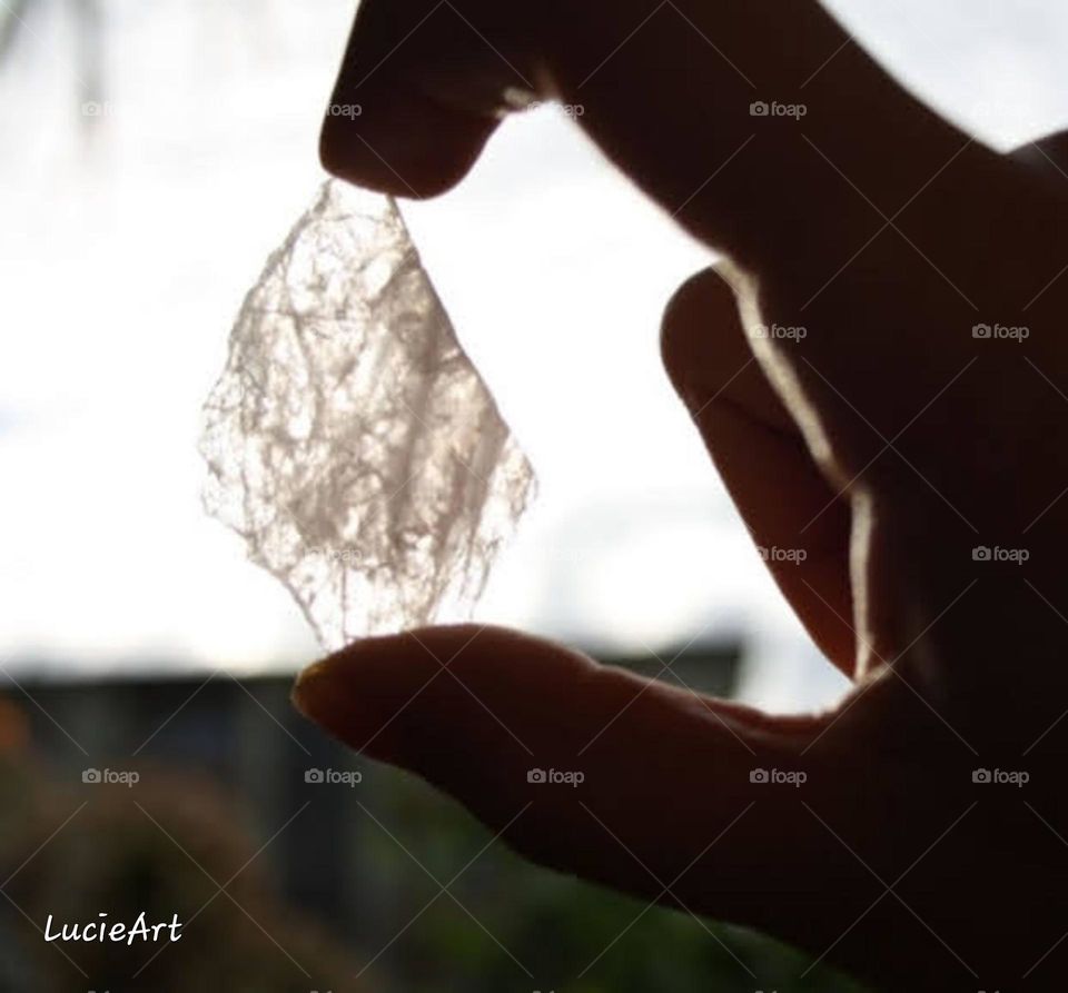 you've got the crystal in your hand