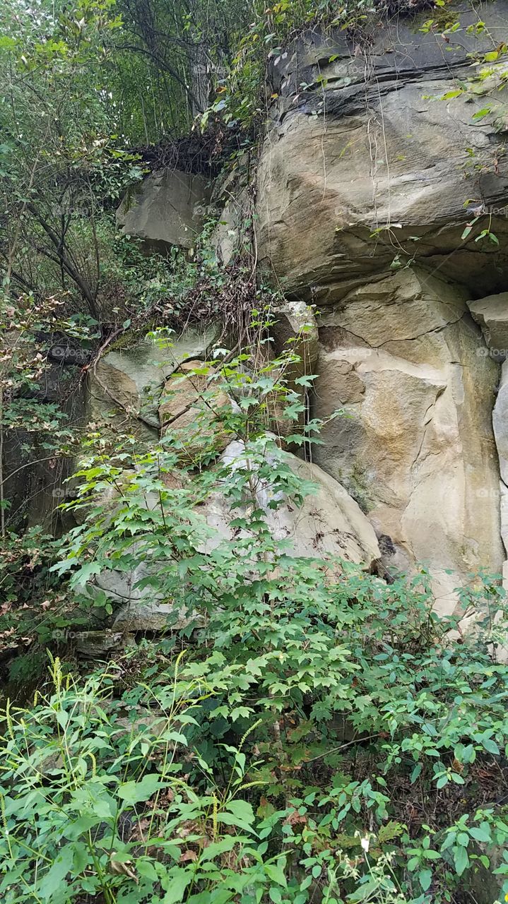 cliff in the mountains