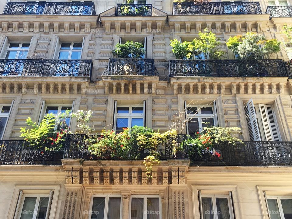 The sun on parisian balconies