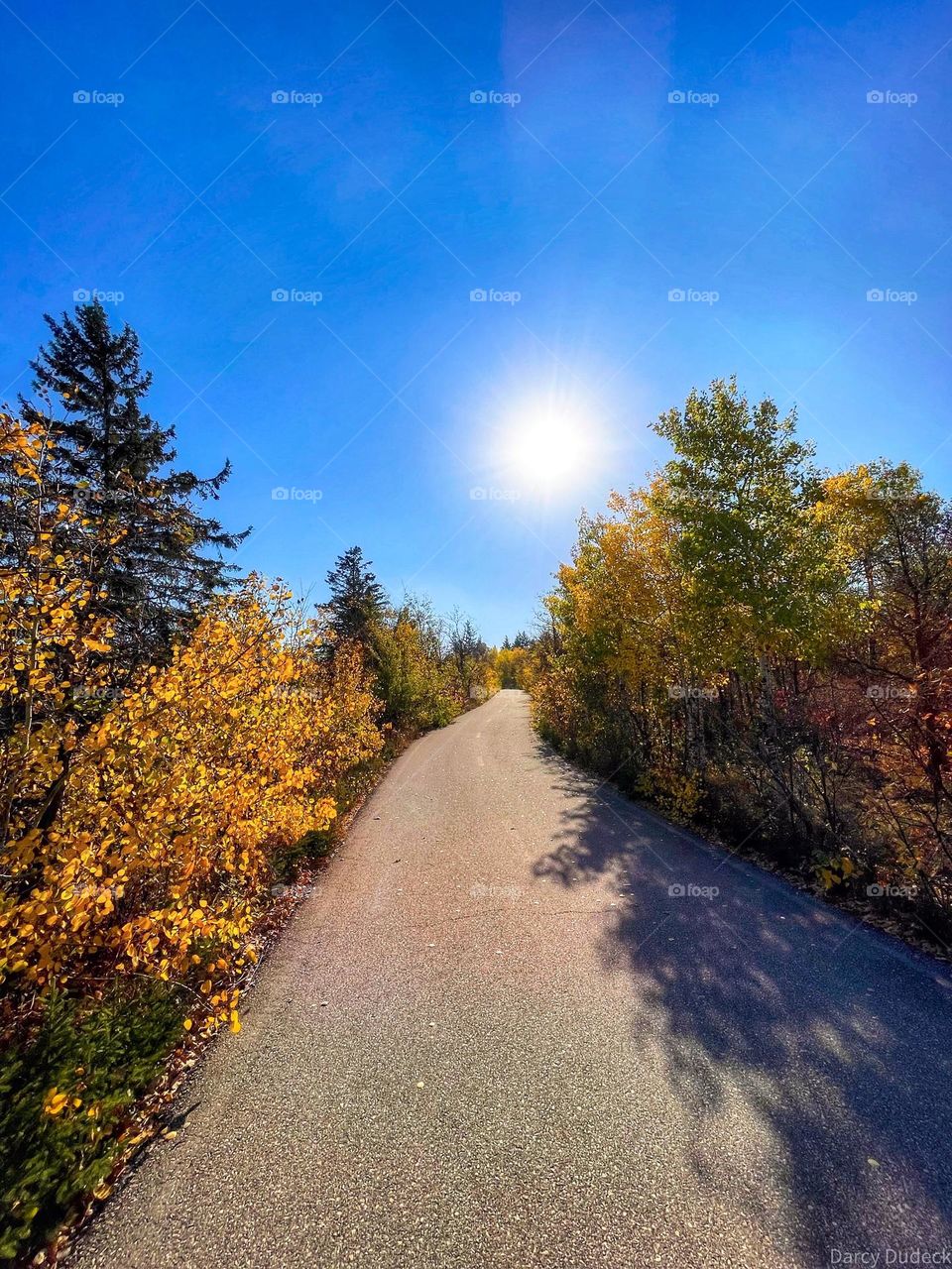 Autumn in the park