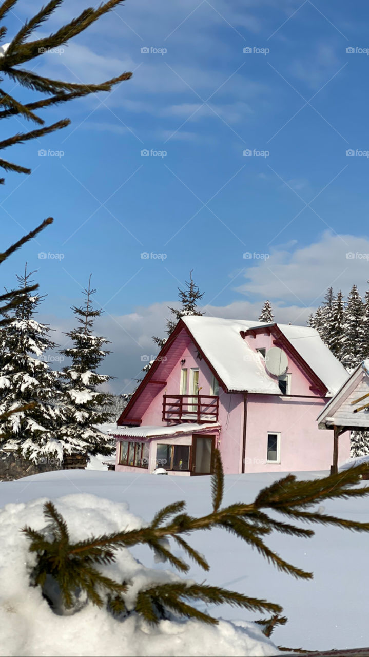 Little pink house 