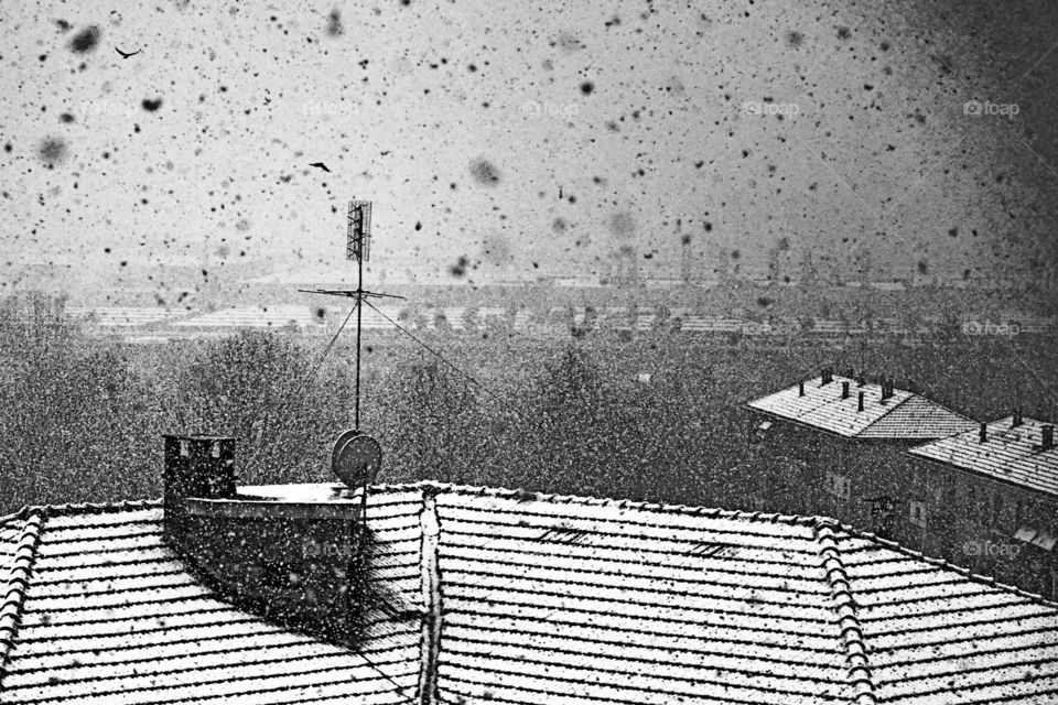 nevicata in città