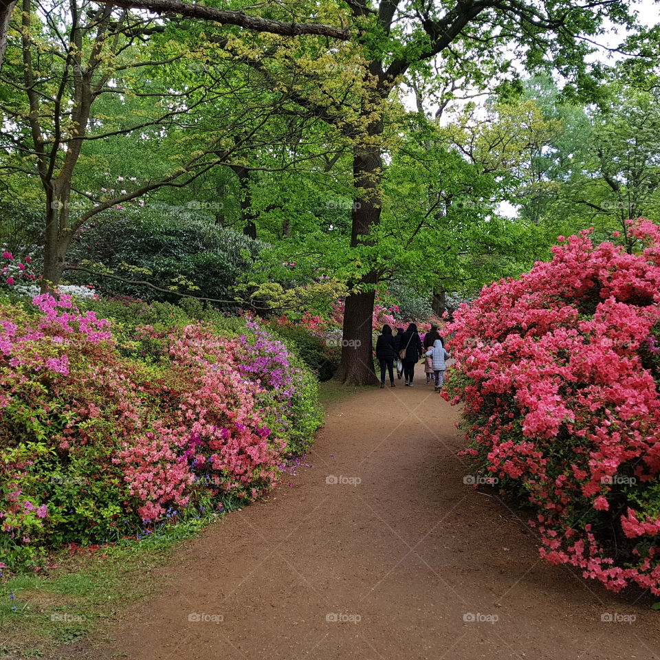 Beautiful Color Nature