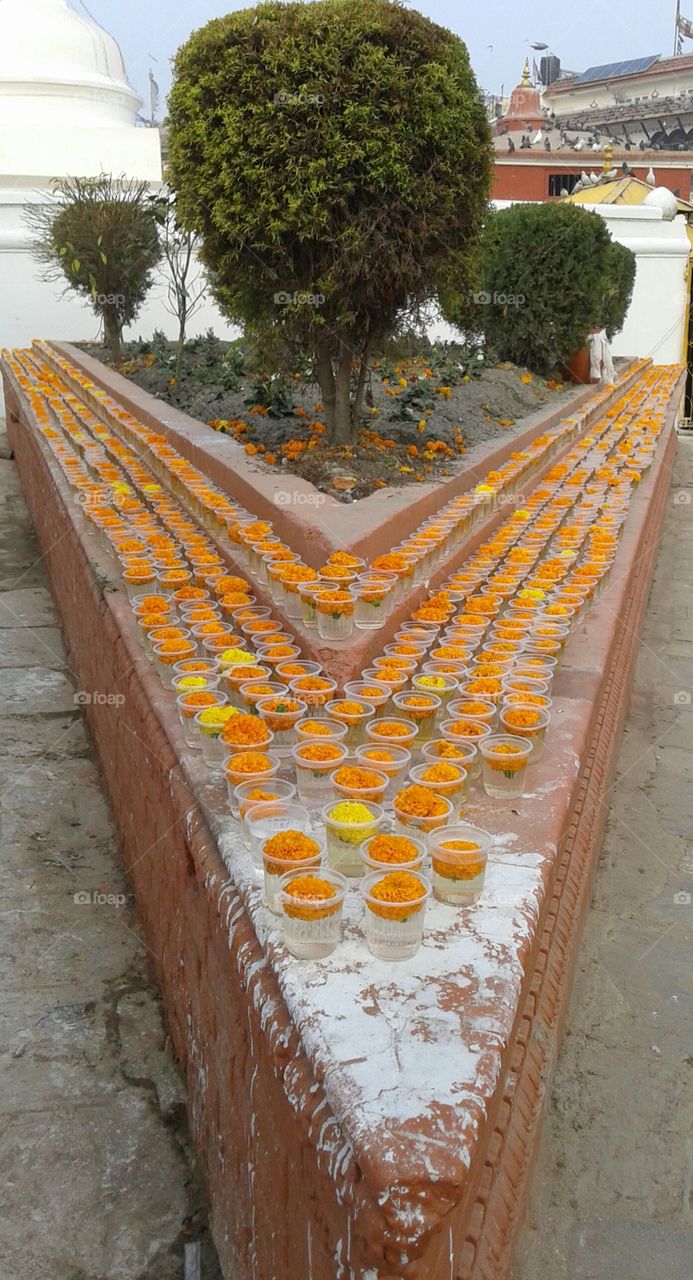 Triangles.
I click this picture,when I recently visited in boudhaa with mine frns.
In this picture there is cup..,which is
fulfilled by the water & flower in the top.