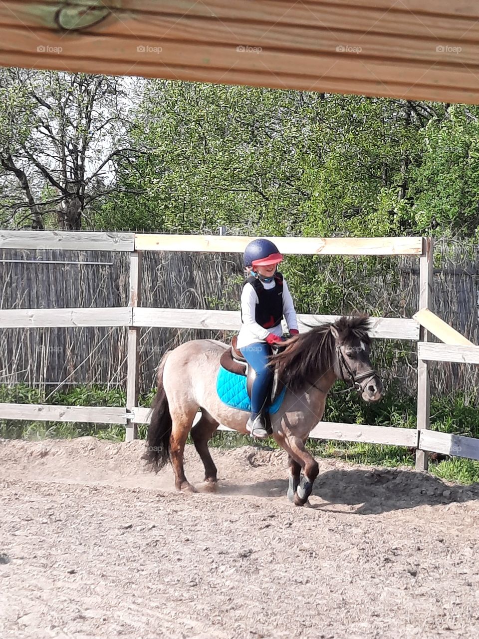 little girl  riding a ponny on a sunny day