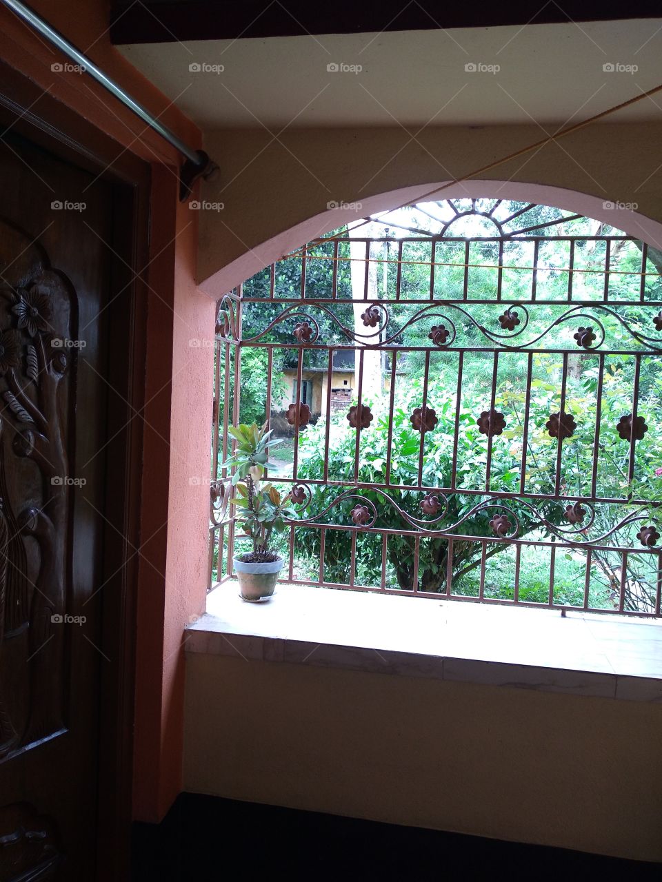 Window