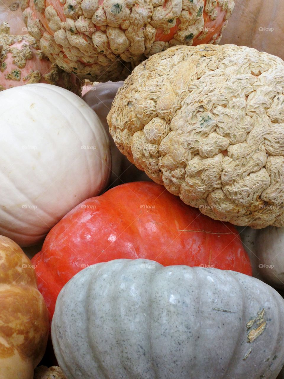 Close-up of vegetables