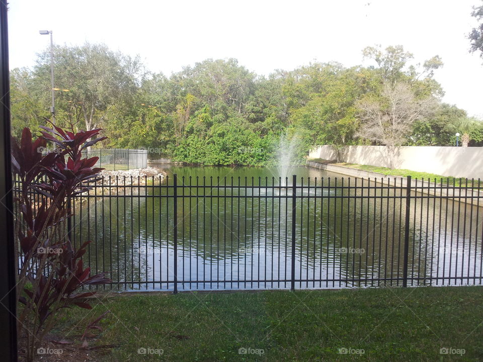 Sprinkler pond 