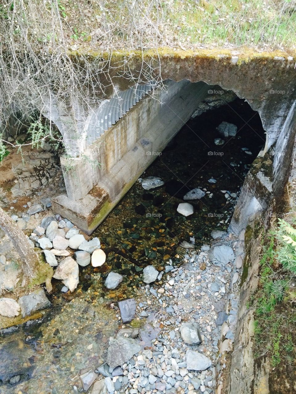 Tunnel creek